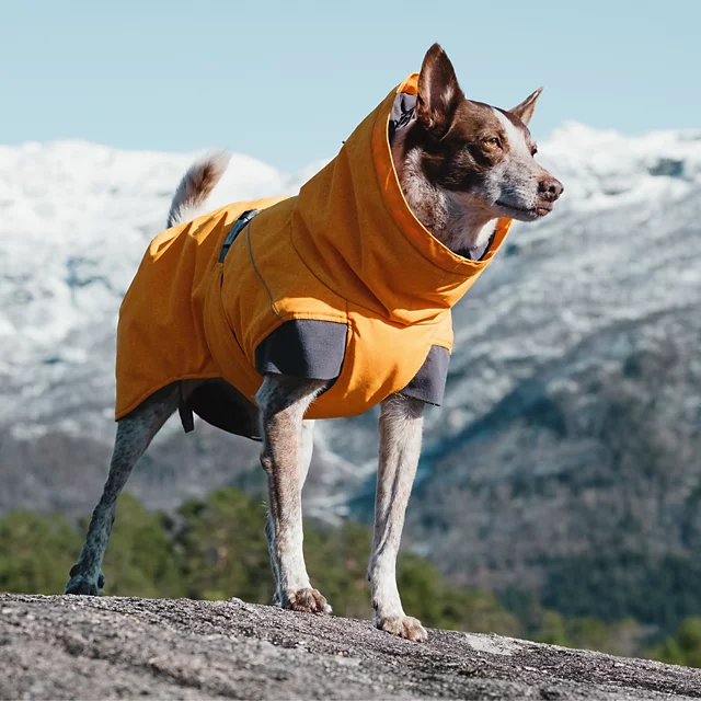 Orvis Hurtta® Expedition Dog Parka ORANGE