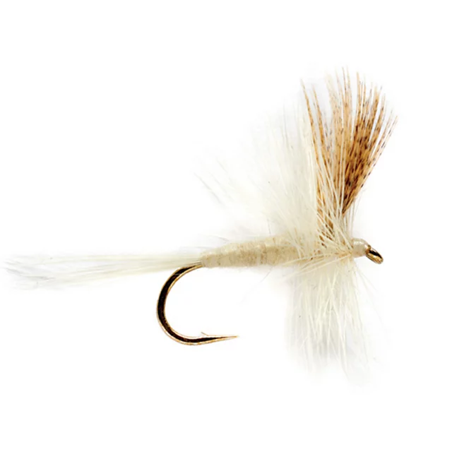 orvis Light Cahill
