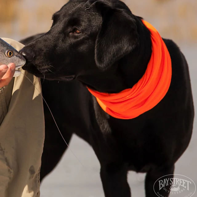 Orvis Lowcountry Saltwater Fishing School