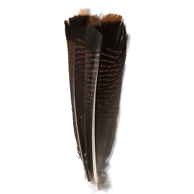 orvis Mottled Turkey Feathers DARK