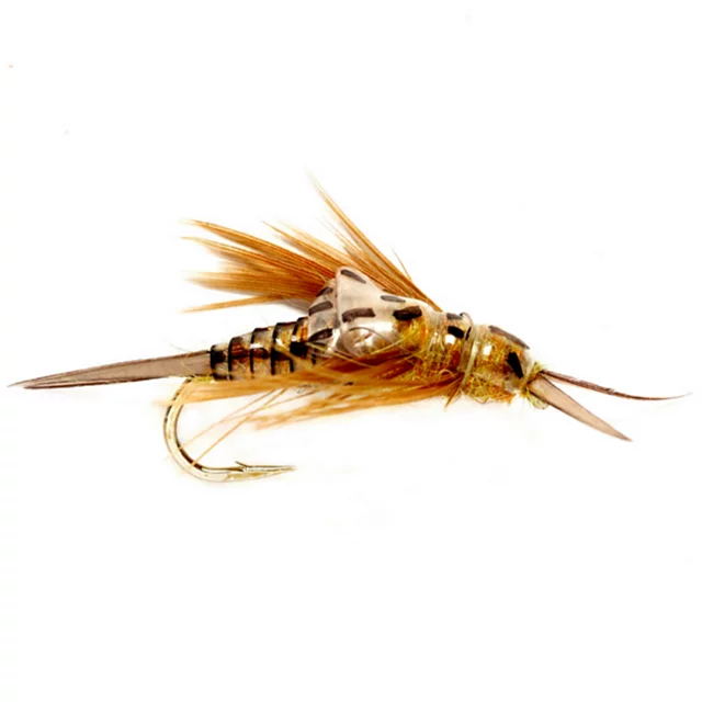orvis OE Stonefly Nymph GOLDEN