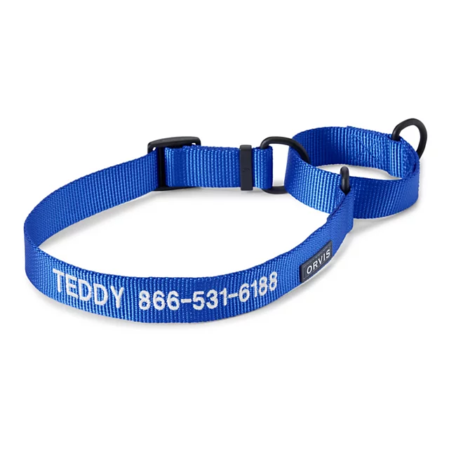 orvis Orvis Martingale Collar & Leash Bundle BLUE