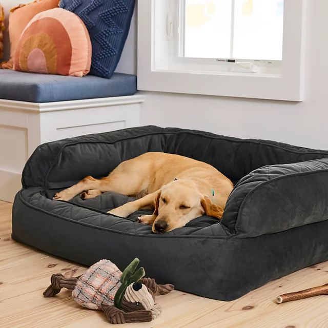 Orvis Orvis Memory Foam Deluxe Dog Bed SLATE