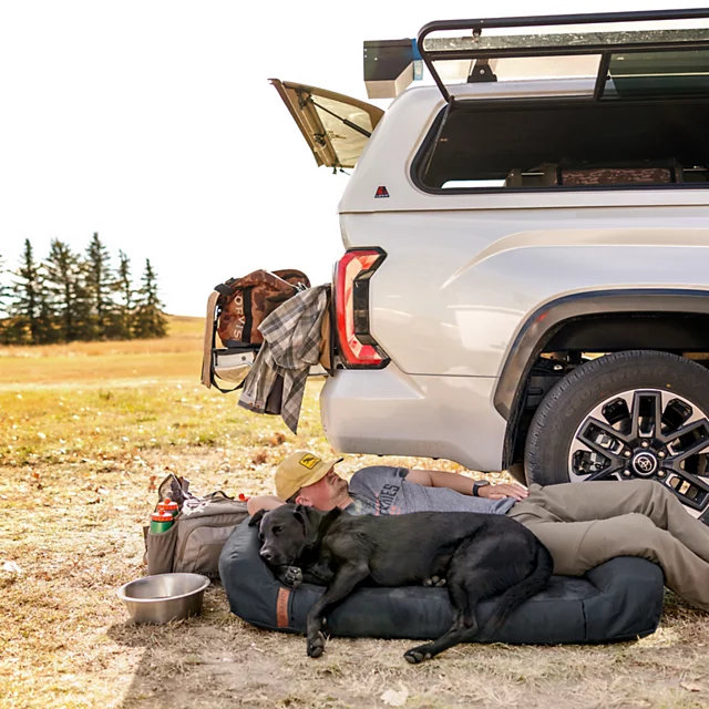 Orvis Orvis RecoveryZone® Couch Dog Bed