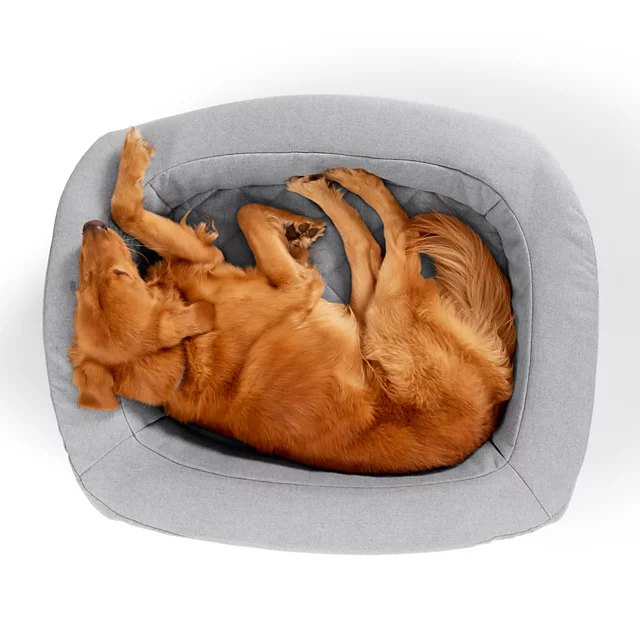 Orvis Orvis RecoveryZone® Den Dog Bed GRANITE