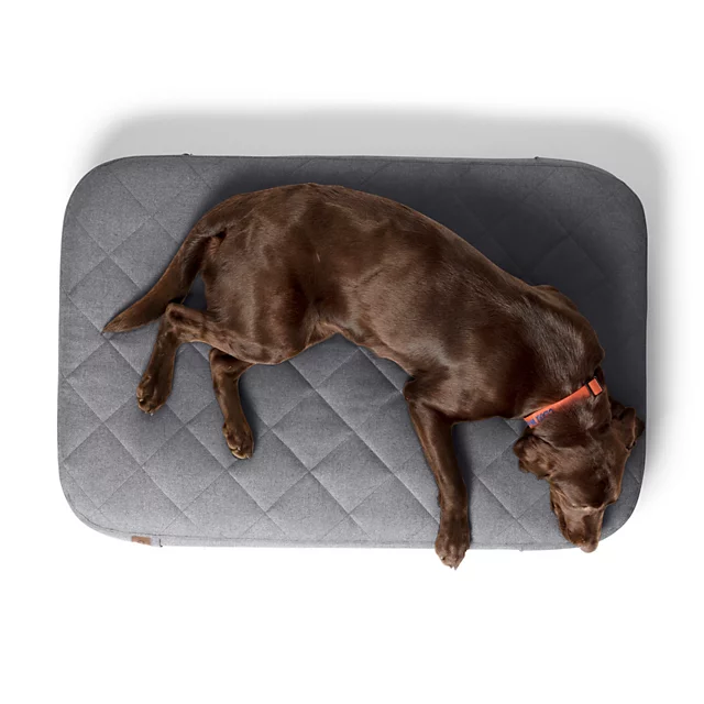 Orvis Orvis RecoveryZone® Lounger Dog Bed SLATE