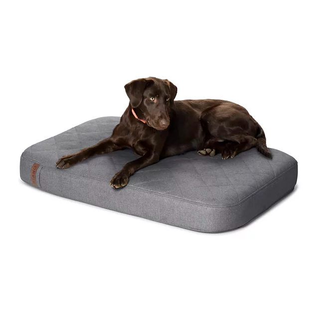 Orvis Orvis RecoveryZone® Lounger Dog Bed SLATE