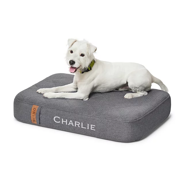 orvis Orvis RecoveryZone® Lounger Dog Bed SLATE