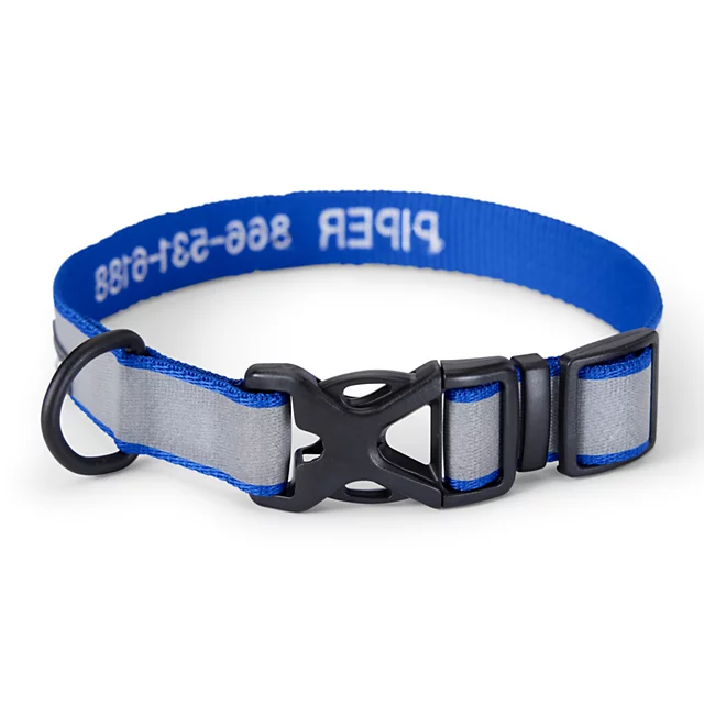 Orvis Orvis Reflective Collar & Leash Bundle BLUE