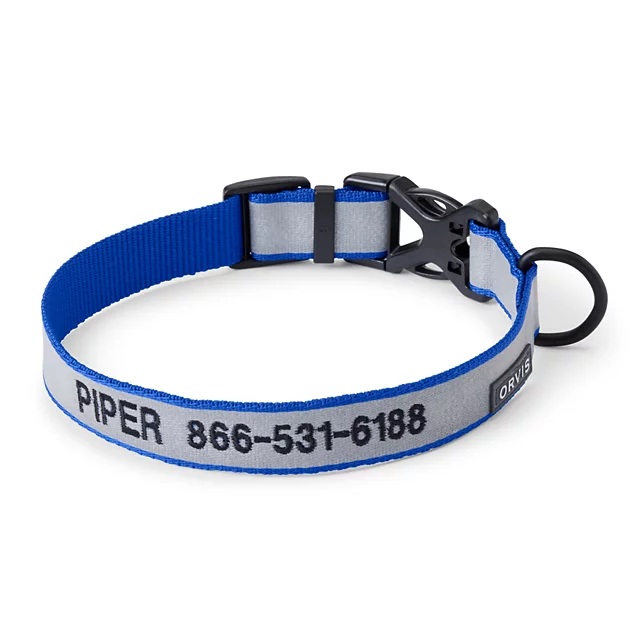 orvis Orvis Reflective Collar & Leash Bundle BLUE