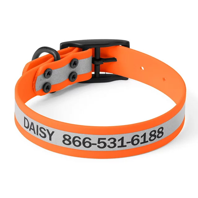 orvis Orvis Waterproof Dog Collar ORANGE