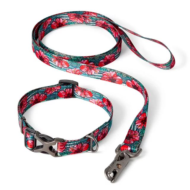 Orvis Orvis X Fishe® Wear Collar BEAUTY&BONEFISH