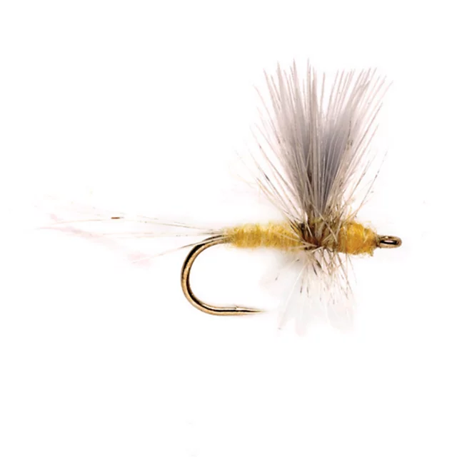 orvis Pale Morning Dun Thorax