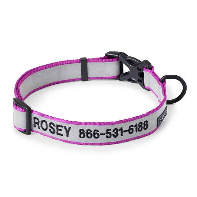 orvis Orvis Personalized Reflective Dog Collar ORCHID