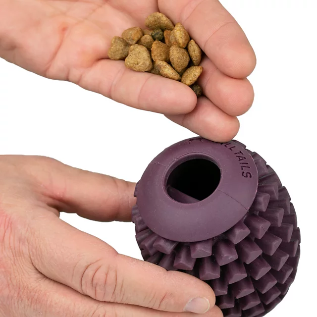 Orvis Pinecone Reward Dog Toy