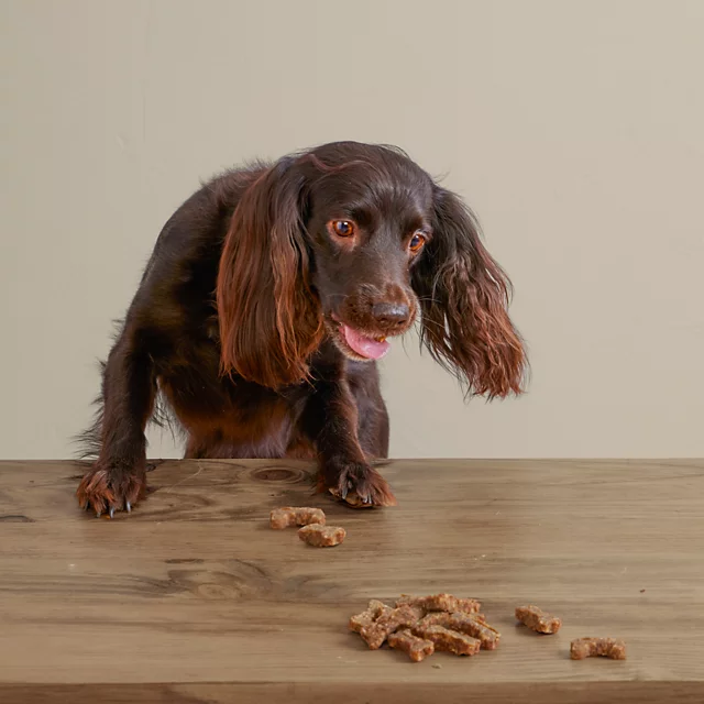 Orvis Polkadog Green Monstah Bones