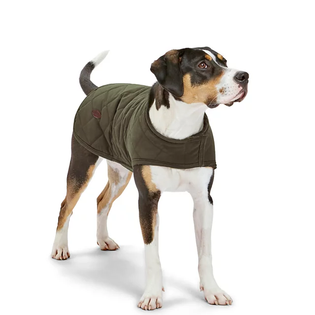 orvis Quilted Waxed Dog Jacket