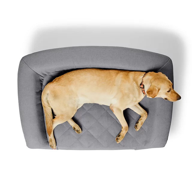Orvis Orvis RecoveryZone® ToughChew® Couch Dog Bed Select Color Size: SMALL