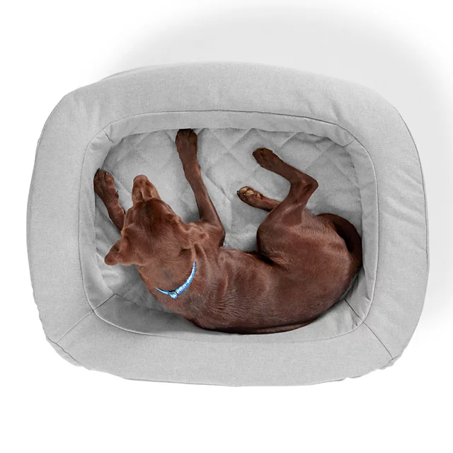 Orvis Orvis RecoveryZone® ToughChew® Den Dog Bed GRANITE