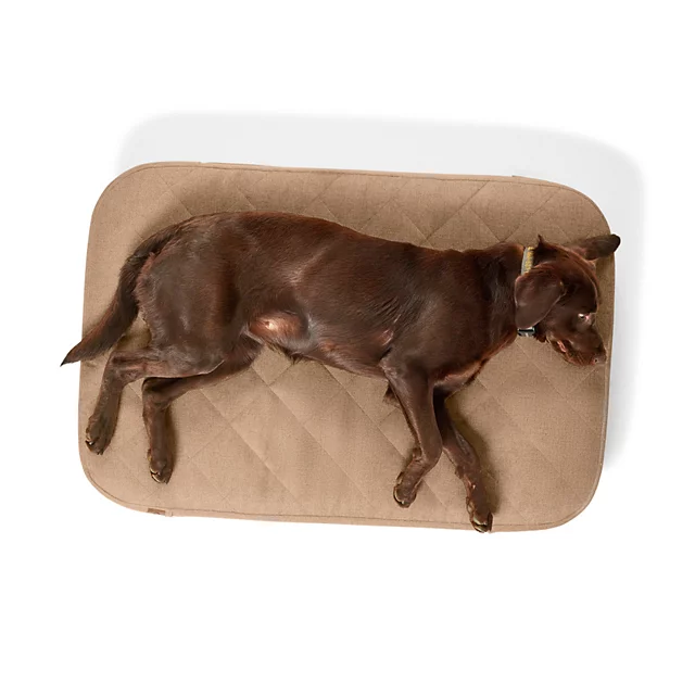 Orvis Orvis RecoveryZone® ToughChew® Lounger Dog Bed BROWN