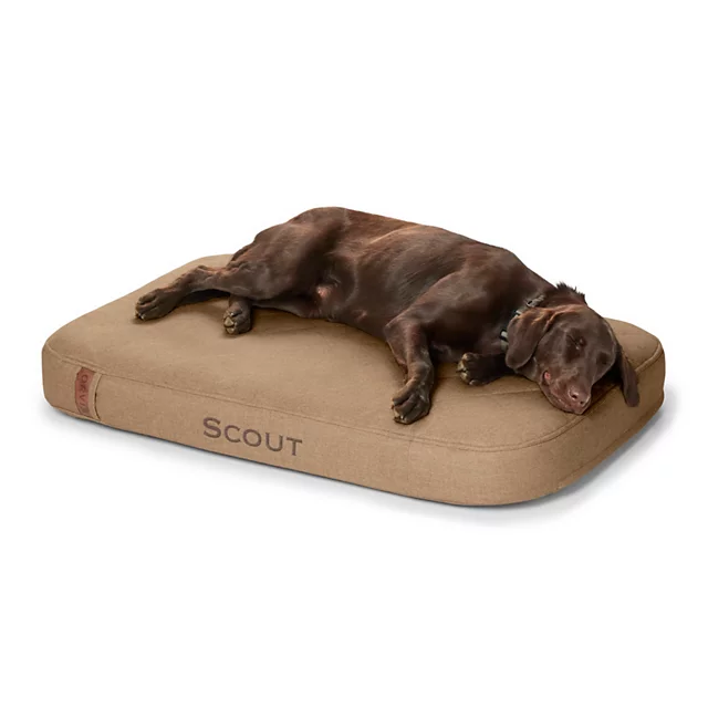 orvis Orvis RecoveryZone® ToughChew® Lounger Dog Bed BROWN