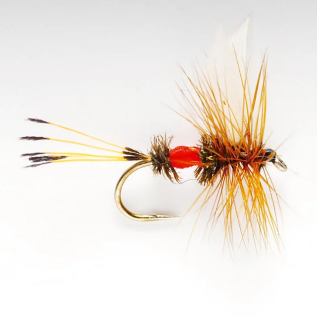 orvis Royal Coachman