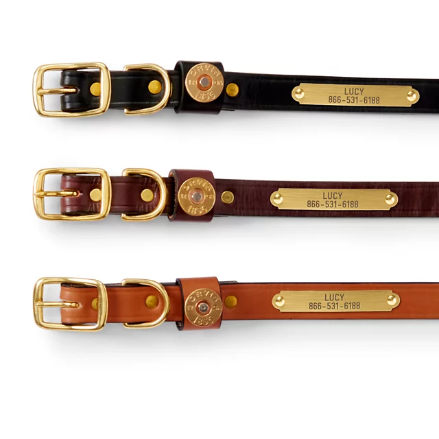 Orvis Shotshell Dog Collar BROWN