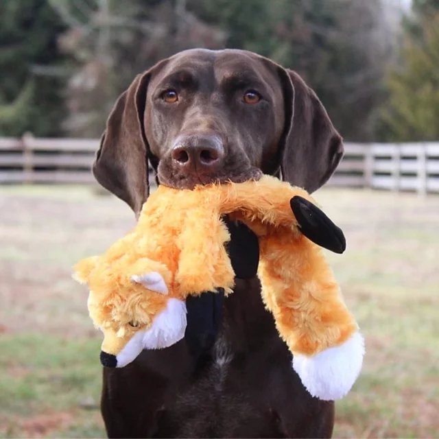 Orvis Stuffless Fox Dog Toy