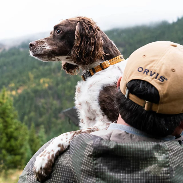 Orvis Tough Trail® Dog Collar