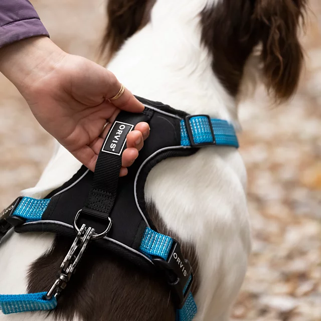 Orvis Tough Trail® Dog Harness