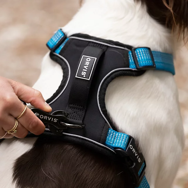 Orvis Tough Trail® Dog Harness
