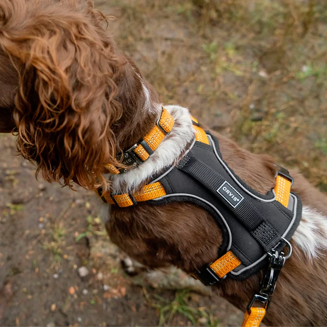 Orvis Tough Trail® Dog Harness