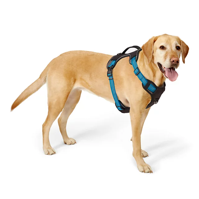 orvis Tough Trail® Dog Harness