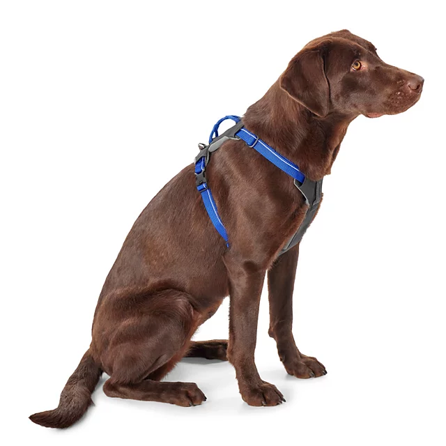 orvis Tough Trail® Four-Point Dog Harness