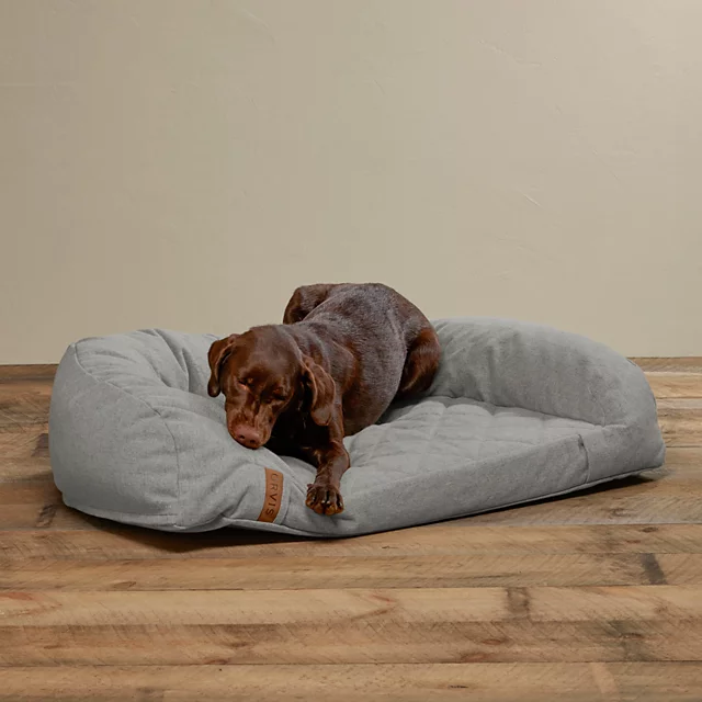 orvis ToughChew® Memory Foam Couch Dog Bed