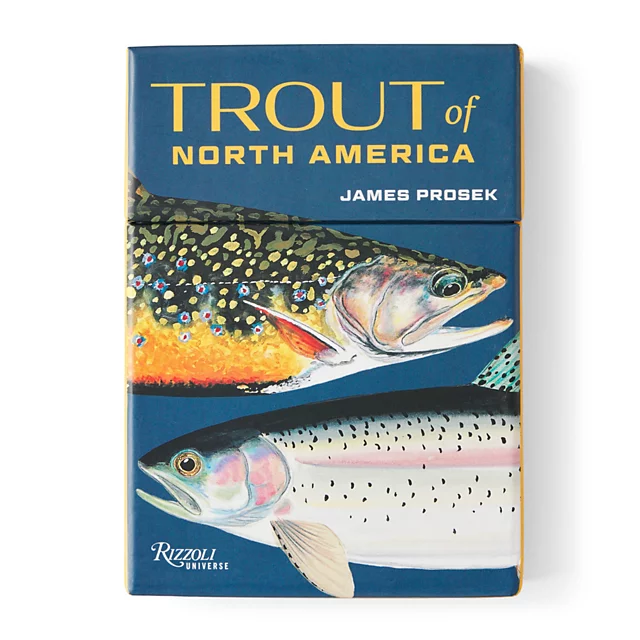 orvis Trout of North America Cards