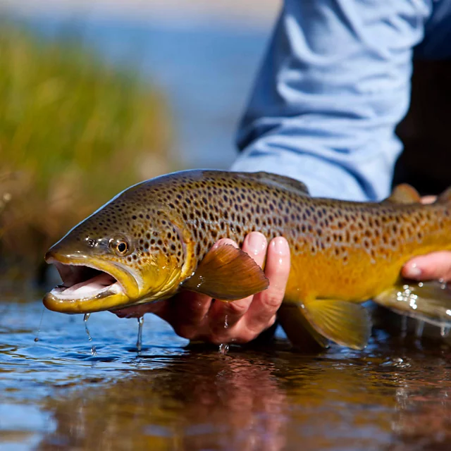 Orvis Trout School At Falcon’s Ledge Utah