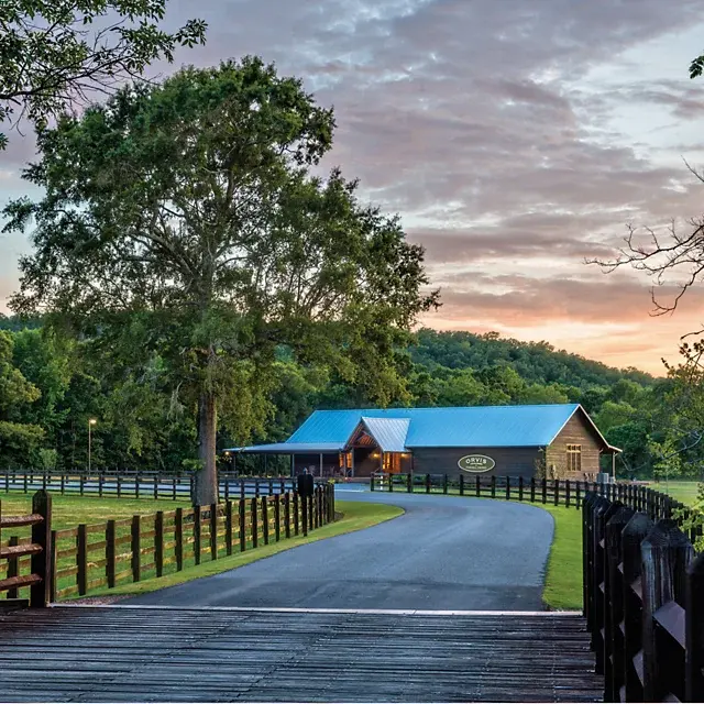 Orvis Orvis Two-Day Quail School At Pursell Farms AL