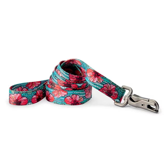 orvis Orvis x Fishe® Wear Dog Leash BEAUTY&BONEFISH