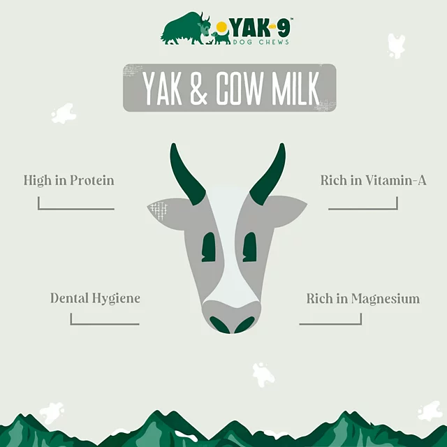 Orvis Yak-9 Dog Chew - Single