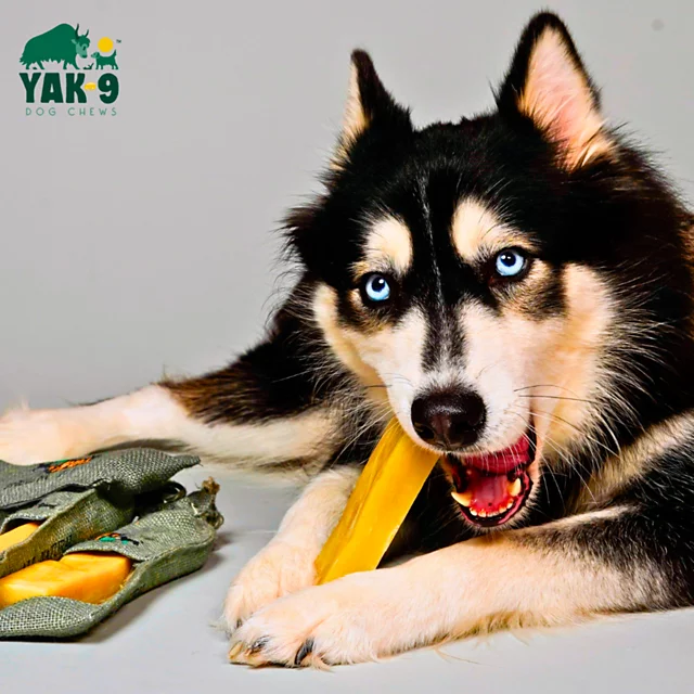 Orvis Yak-9 Dog Chew - Single