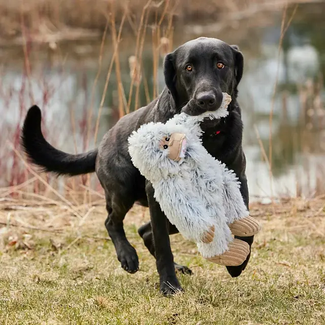Orvis Yeti Dog Toy