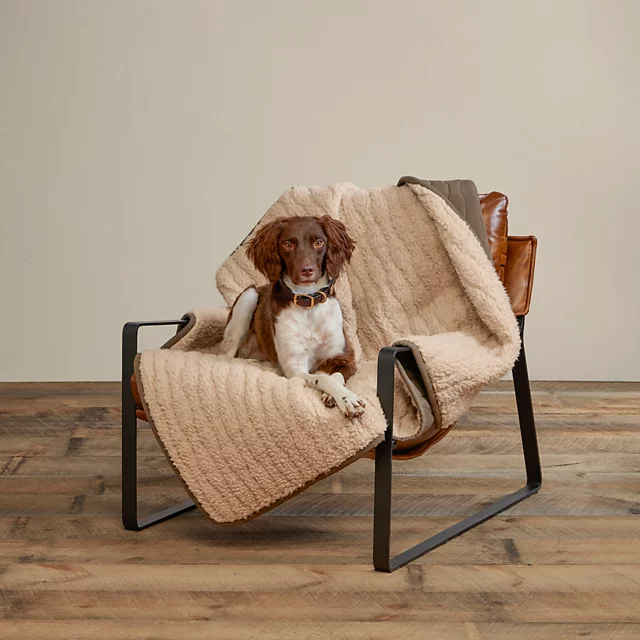 Orvis Tough Trail® Softshell Fleece Dog Throw OLIVE