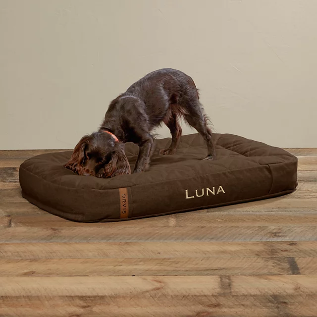 Orvis ToughChew® Memory Foam Lounger Dog Bed CHOCOLATE