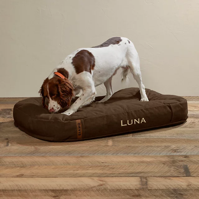 Orvis ToughChew® Memory Foam Lounger Dog Bed CHOCOLATE