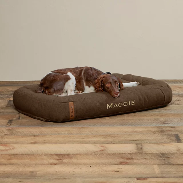 Orvis ToughChew® Memory Foam Lounger Dog Bed CHOCOLATE