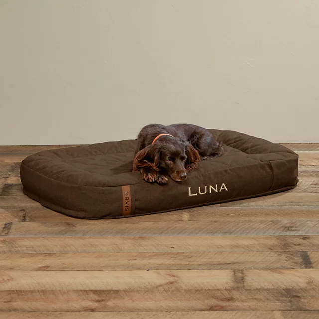 orvis ToughChew® Memory Foam Lounger Dog Bed CHOCOLATE