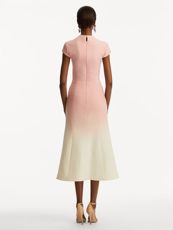 Oscar De La Renta Cherry Blossom Embroidered Ombré Dress