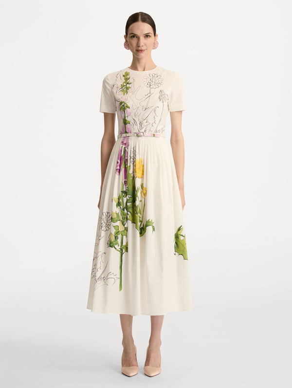 Oscar De La Renta Foxglove Sketch Cotton Poplin Dress