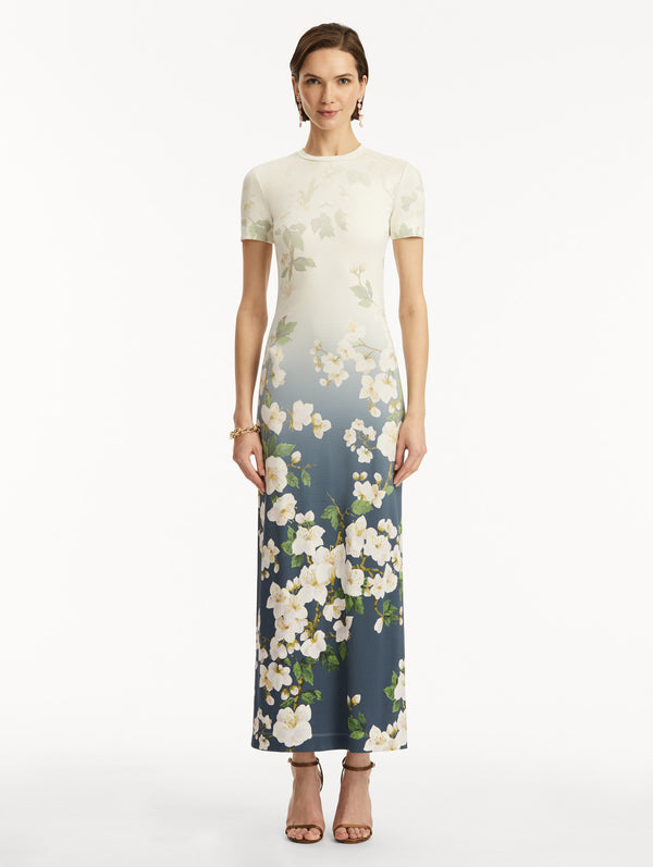 Oscar De La Renta Ombré Cherry Blossom Jersey Dress